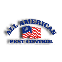 All American logo